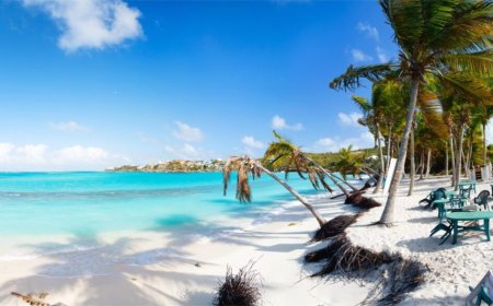 Readers' Favourite Islands: Anguilla, Antigua, and Curacao Picks