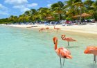 Aruba's Consistent Weather: Perfect for Year-Round Outdoor Fun for 2025-26