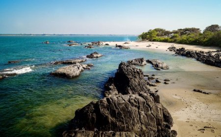 Quiet Islands Rising: St. Eustatius and Tobago for Off-Grid Adventures