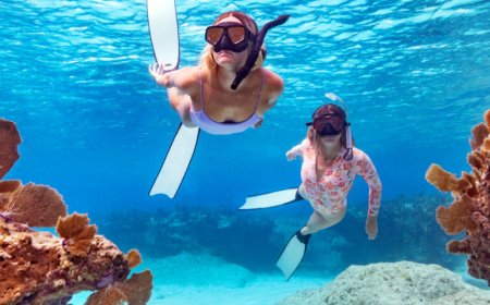 Turks and Caicos Adventures: Snorkelling and Beach Exploration