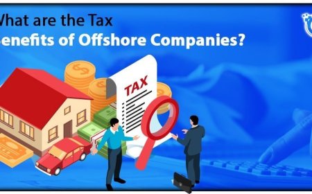 Offshore Opportunities: Tax Havens and Business Setup Tips for 2026