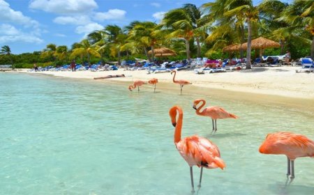 Aruba's Consistent Weather: Perfect for Year-Round Outdoor Fun for 2025-26