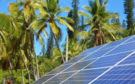 Renewable Energy Funds: Investing in Caribbean's Green Future for 2026