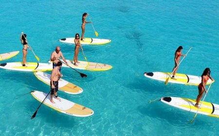 Barbados Cultural Adventures: Rum Tours and Surfing Lessons for 2025-26