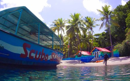 St. Lucia Dive Fest: Underwater Culture and Marine Events for 2025-26