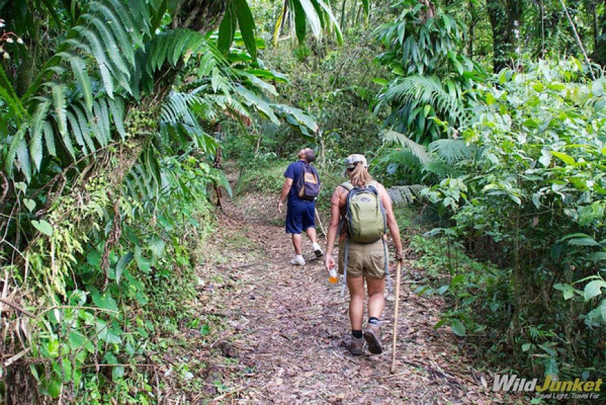 St. Vincent and the Grenadines: Volcano Treks and Diving Spots