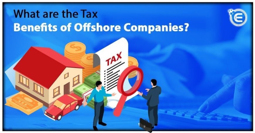 Offshore Opportunities: Tax Havens and Business Setup Tips for 2026