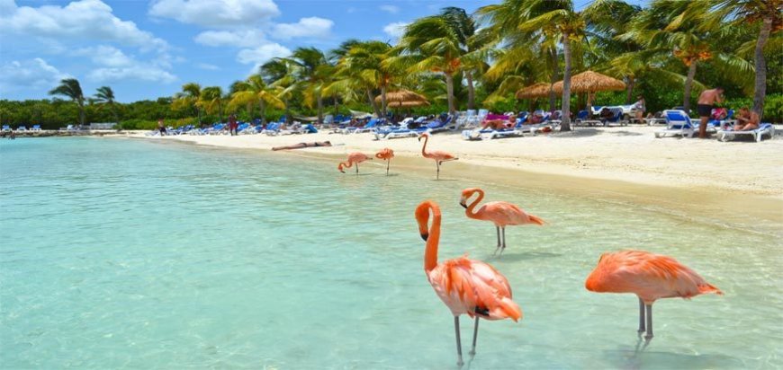 Aruba's Consistent Weather: Perfect for Year-Round Outdoor Fun for 2025-26