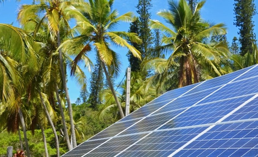 Renewable Energy Funds: Investing in Caribbean's Green Future for 2026