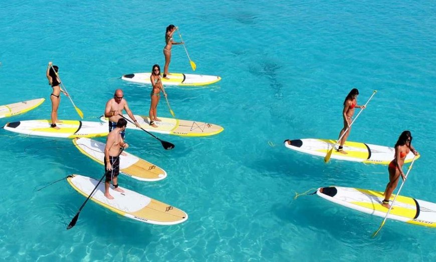 Barbados Cultural Adventures: Rum Tours and Surfing Lessons for 2025-26