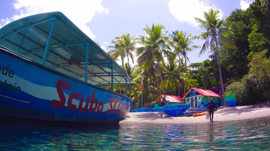 St. Lucia Dive Fest: Underwater Culture and Marine Events for 2025-26