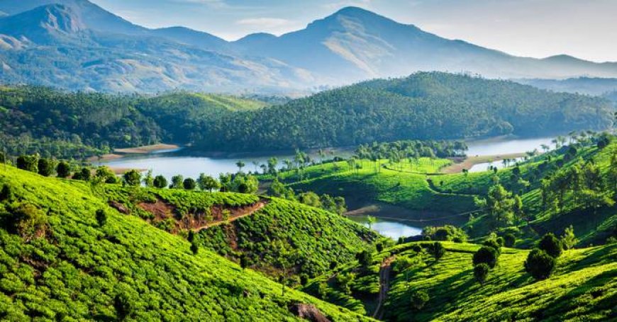 Year-Round Planning: Weather and Peak Season Advice for 2025-26