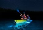 Night Kayaking: The Best Bioluminescent Bays in Puerto Rico.