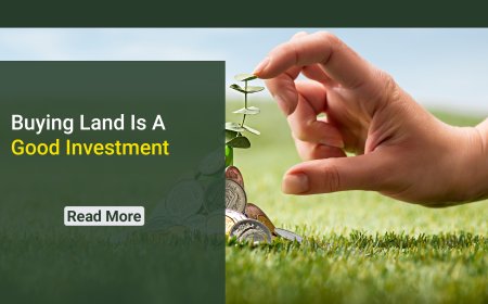 Buying Land vs. Condos: What is the Safer Investment for Foreigners?