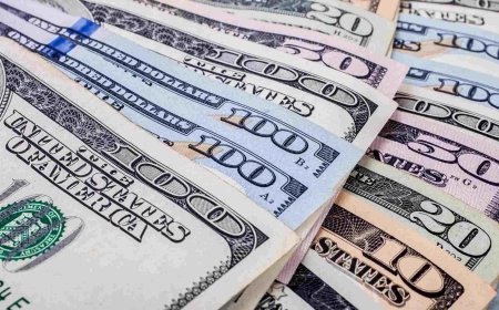 Currency Guide: Where Can You Use US Dollars vs. Local Currency?