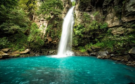 Chasing Waterfalls: The Most Instagrammable Waterfalls in Jamaica and Puerto Rico.