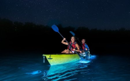 Night Kayaking: The Best Bioluminescent Bays in Puerto Rico.
