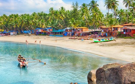 Deep Sea Fishing: Best Seasons and Islands for Catching Marlin and Tuna.