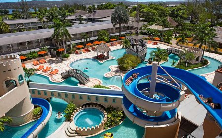 Wedding Packages Compared: Which Resort Chain Offers the Best Free Wedding?