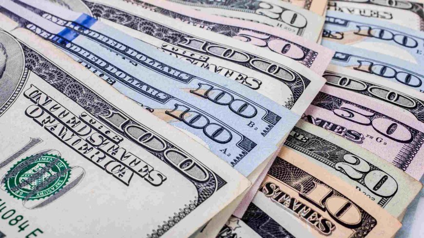 Currency Guide: Where Can You Use US Dollars vs. Local Currency?