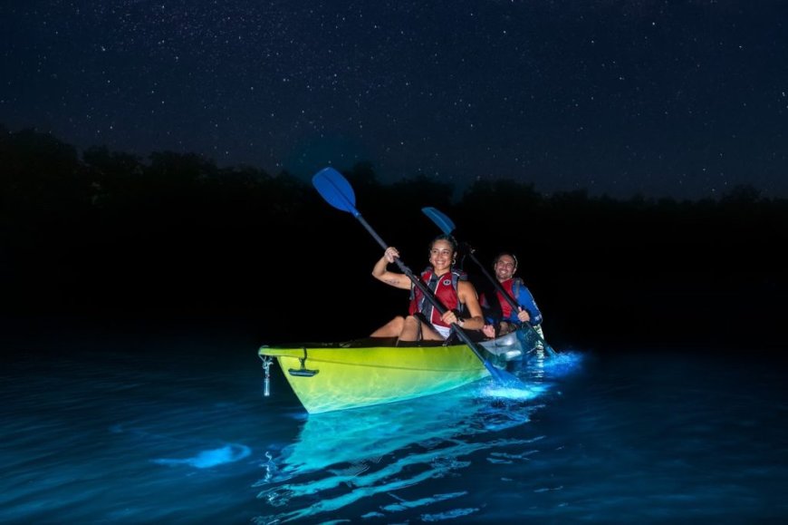Night Kayaking: The Best Bioluminescent Bays in Puerto Rico.