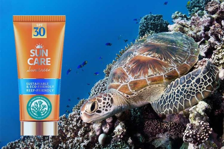 Sun Safety: Why You Need Reef-Safe Sunscreen (And Where It’s Mandatory).