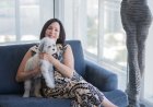 Pet-Friendly All-Inclusive Resorts in the Caribbean