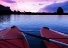 Night Bioluminescent Tours by Destination