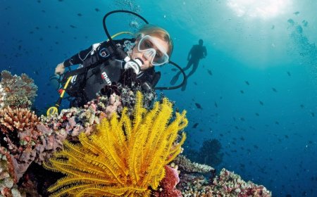 Safest Spots for Solo Scuba Diving