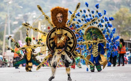 Reggae, Soca & Calypso: What to Expect at Each Festival