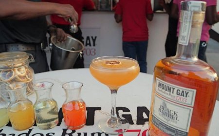 Rum Distilleries With The Best Signature Tours