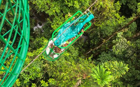 Eco-Tour Adventures in Caribbean Rainforests