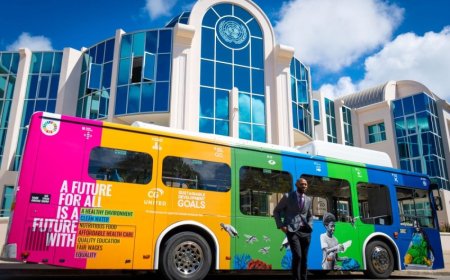 How to Navigate Caribbean Public Transport