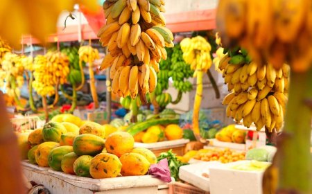 Top Caribbean Juice Bars & Fresh Fruit Stands