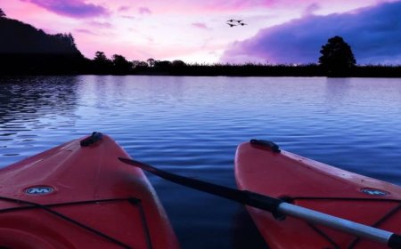 Night Bioluminescent Tours by Destination