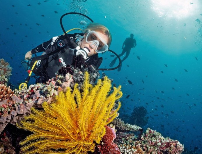 Safest Spots for Solo Scuba Diving