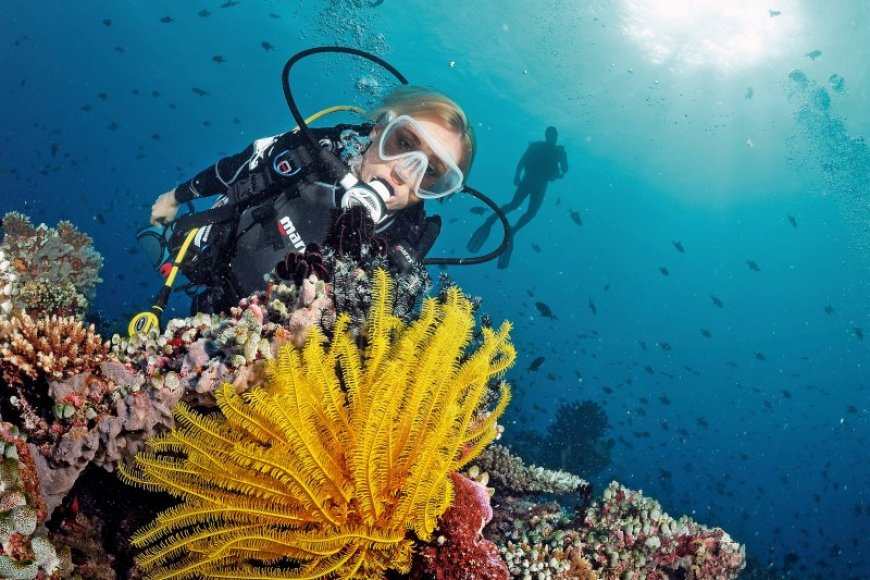 Safest Spots for Solo Scuba Diving