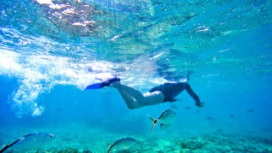 Safest Spots for Solo Scuba Diving