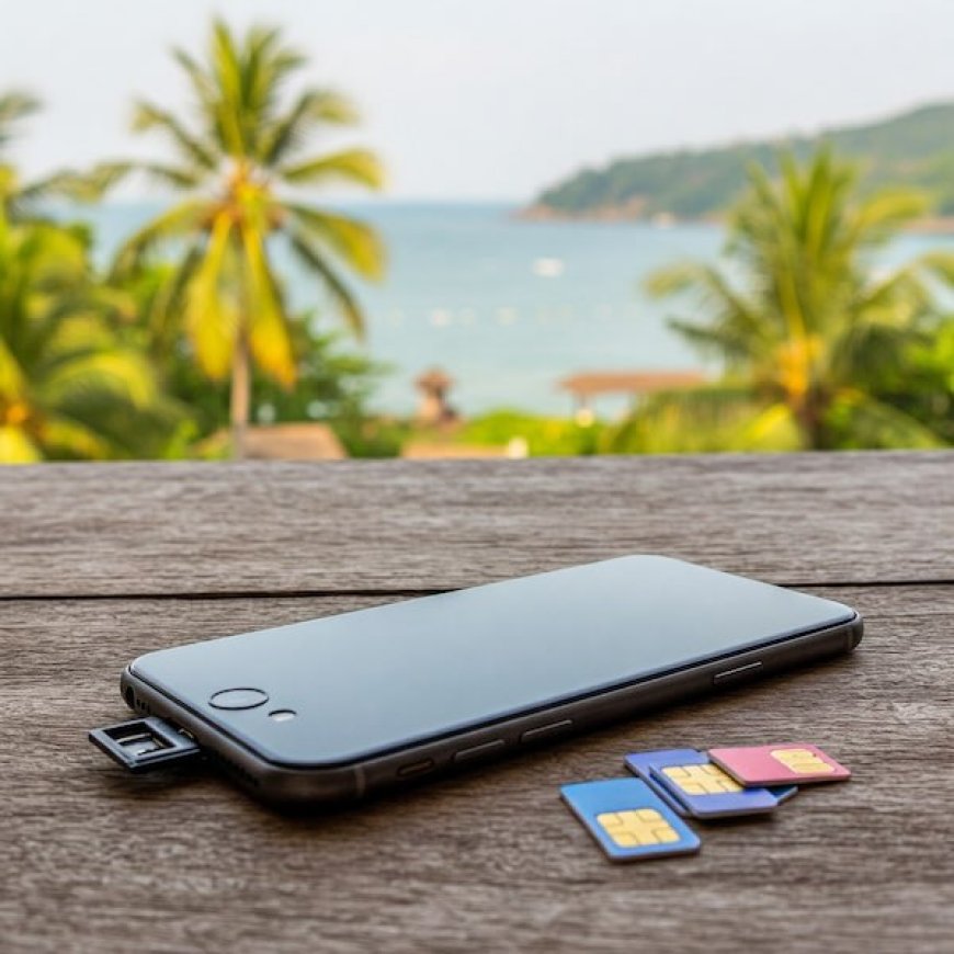 Best SIM Cards and eSIM Options for Caribbean Travel