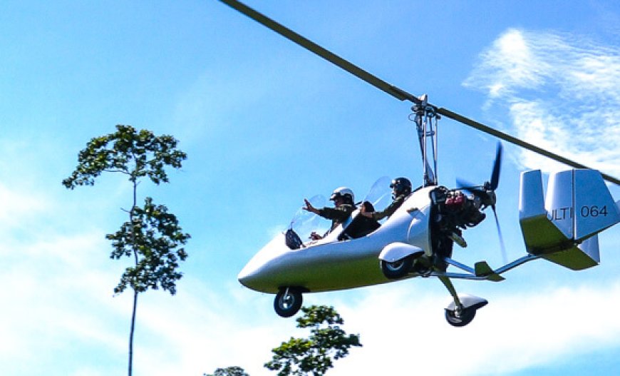 Eco-Tour Adventures in Caribbean Rainforests