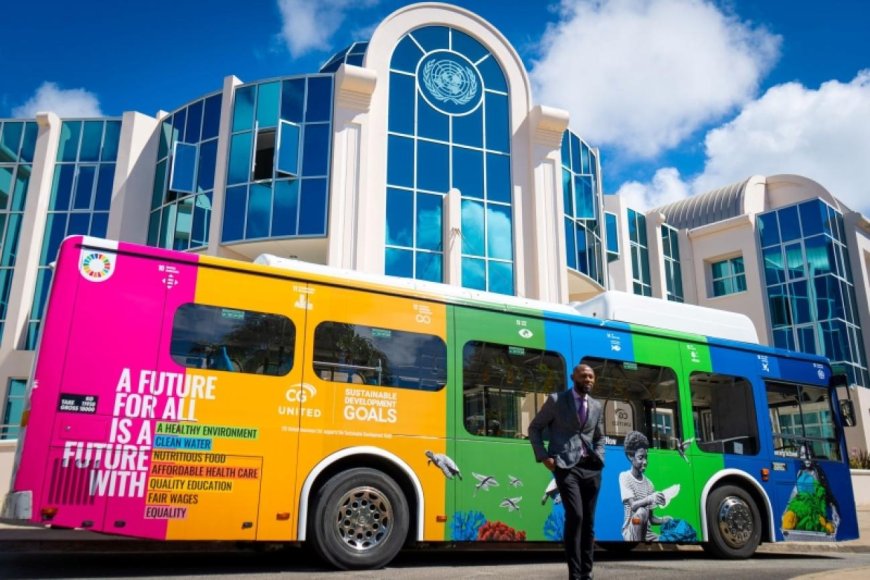 How to Navigate Caribbean Public Transport