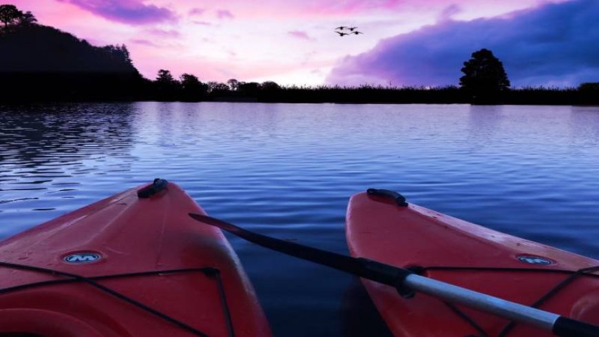 Night Bioluminescent Tours by Destination