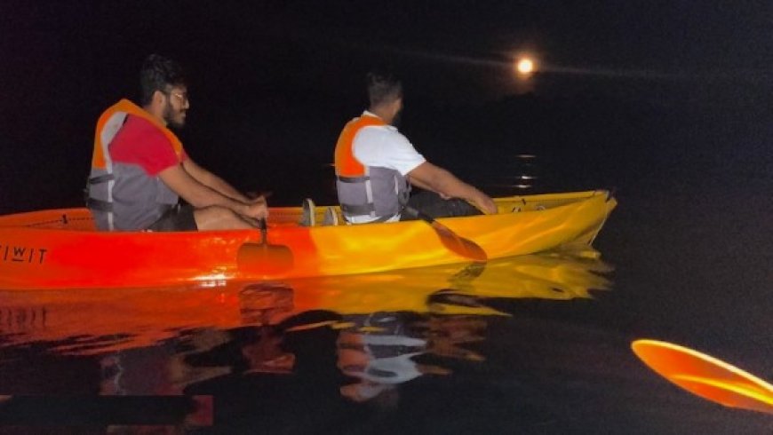 Night Bioluminescent Tours by Destination