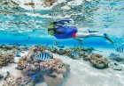 Reef Safety Essentials for Snorkelers
