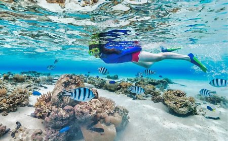 Reef Safety Essentials for Snorkelers