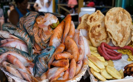 Where to Find Local Seafood Tasting Tours