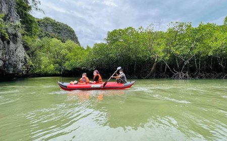 Kayak Expeditions Through Mangrove Forests