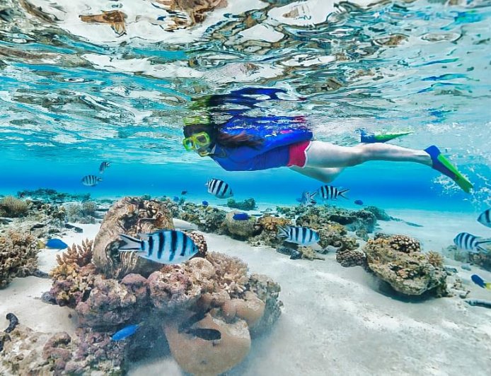 Reef Safety Essentials for Snorkelers