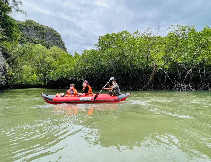 Kayak Expeditions Through Mangrove Forests