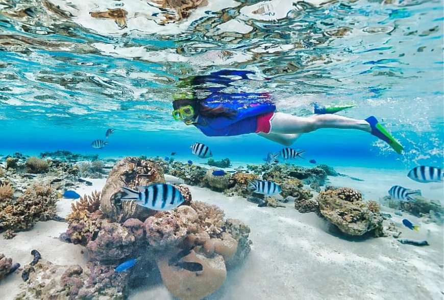Reef Safety Essentials for Snorkelers